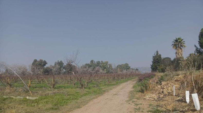 Córdoba - Córdoba - 70m2