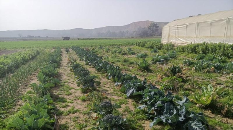 Córdoba - Córdoba - 70m2