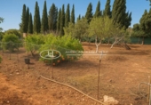 Отдельно стоящий дом с участком на продажу в городе Chiclana de la Frontera Фото