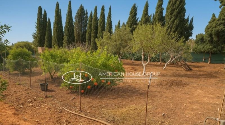 Cádiz - Chiclana de la Frontera - 2000m2