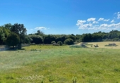 Chalet independiente con terreno en venta en la España, Amoeiro, ref: TR219069 foto