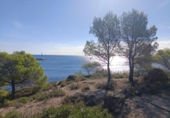 Дом с участком на продажу в городе l'Ametlla de Mar Фото