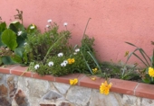 Xalet independent amb terreny en venda a la España, Llinars del Vallès, ref.: TR287715 foto