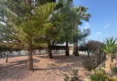Xalet independent amb terreny en venda a la España, Daia Vella, ref.: TR236029 foto