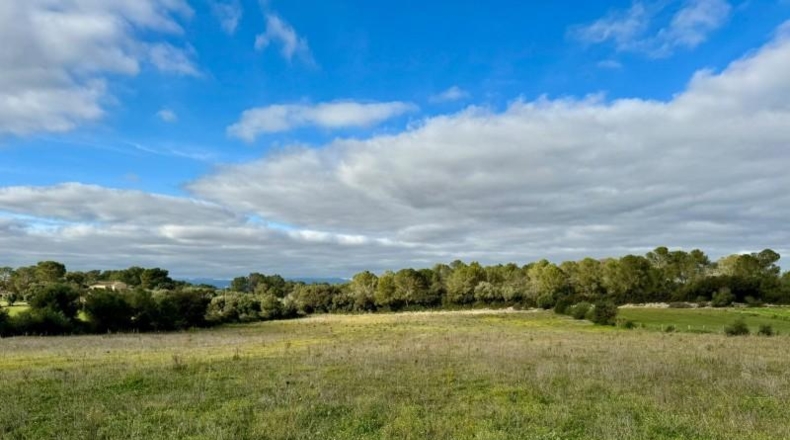 Balearic Islands - Lloret de Vistalegre - 22240m2