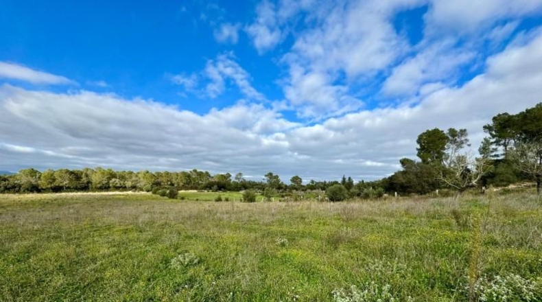 Balearic Islands - Lloret de Vistalegre - 22240m2