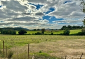 Non-developable land for sale on España, Lloret de Vistalegre, ref: TR236057 photo