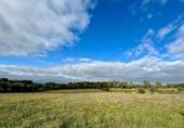 Non-developable land for sale on España, Lloret de Vistalegre, ref: TR236057 photo