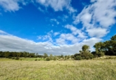 Non-developable land for sale on España, Lloret de Vistalegre, ref: TR236057 photo
