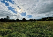 Non-developable land for sale on España, Lloret de Vistalegre, ref: TR236057 photo