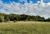 Non-developable land for sale on España, Lloret de Vistalegre, ref: TR236057 photo