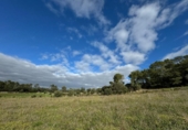 Non-developable land for sale on España, Lloret de Vistalegre, ref: TR236057 photo
