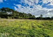 Non-developable land for sale on España, Lloret de Vistalegre, ref: TR236057 photo