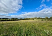 Non-developable land for sale on España, Lloret de Vistalegre, ref: TR236057 photo