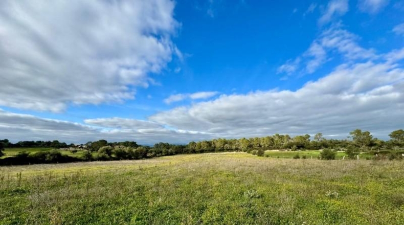 Balearic Islands - Lloret de Vistalegre - 22240m2