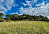 Non-developable land for sale on España, Lloret de Vistalegre, ref: TR236057 photo