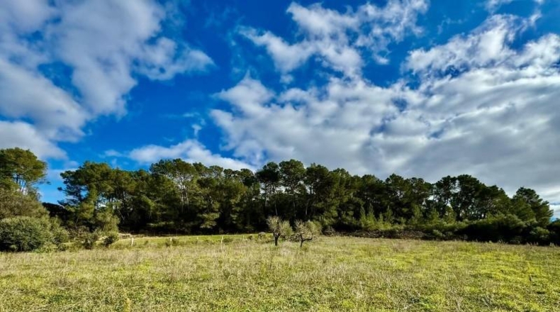 Balearic Islands - Lloret de Vistalegre - 22240m2