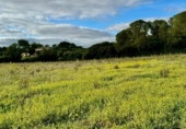 Non-developable land for sale on España, Lloret de Vistalegre, ref: TR236057 photo