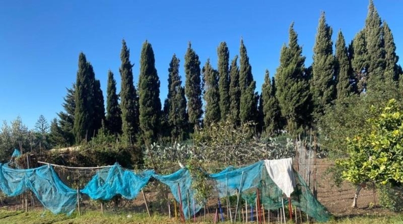 Cádiz - Chiclana de la Frontera - 2000m2