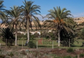Земля на продажу у города El Ejido Фото