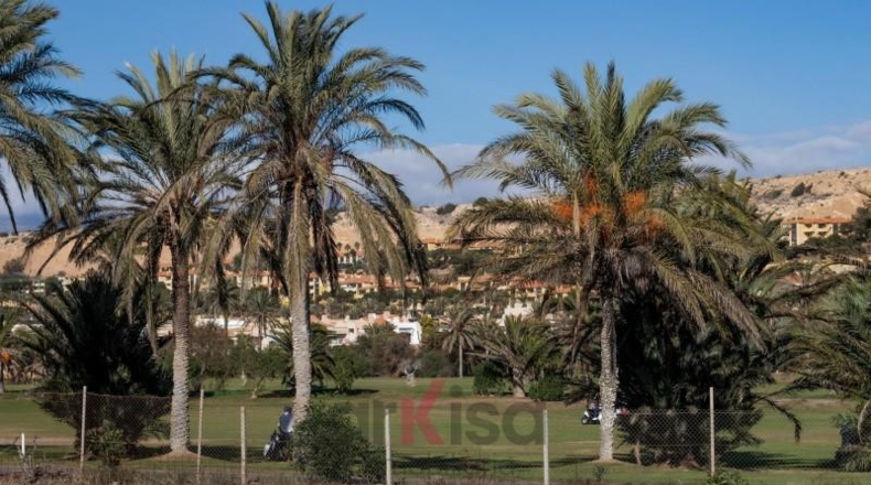 Almeria - El Ejido - 950m2