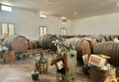 Xalet independent amb terreny en venda a la España, Novelda, ref.: TR152039 foto