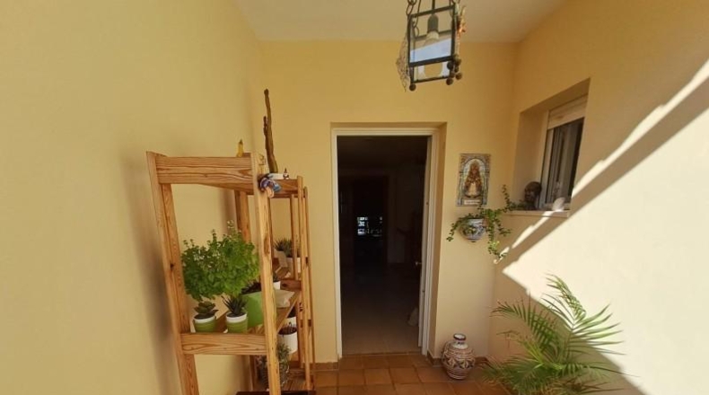 Murcia - Molina de Segura - 860m2