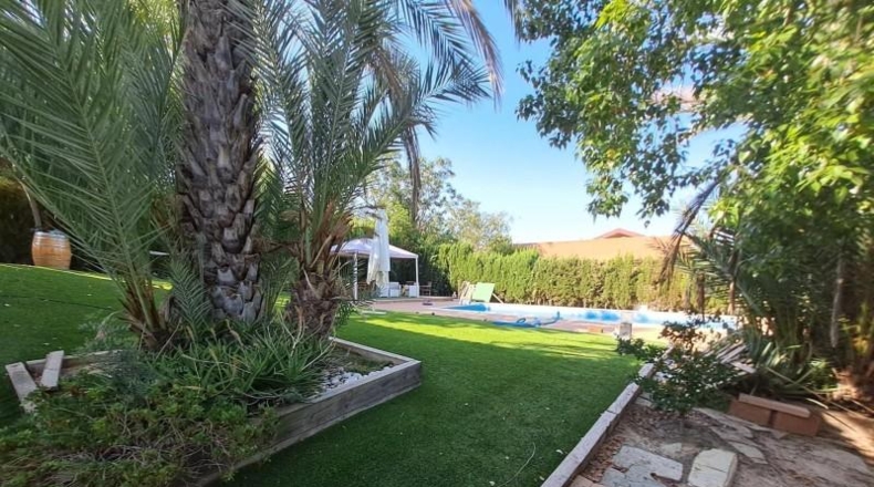 Murcia - Molina de Segura - 860m2