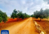 Xalet independent amb terreny en venda a la España, Arcos de la Frontera, ref.: TR163452 foto