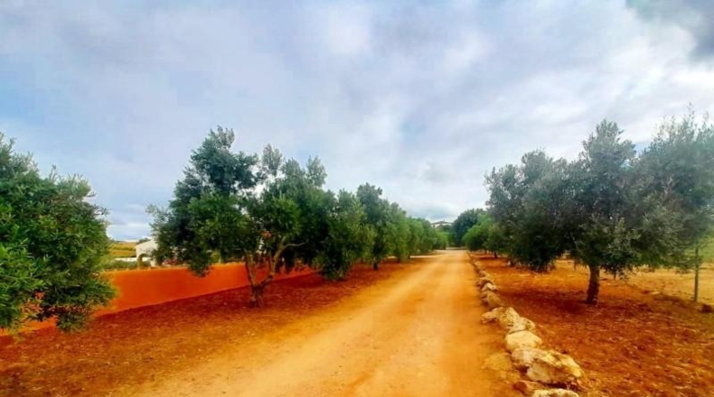 Cádiz - Arcos de la Frontera - 5685m2