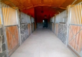 Xalet independent amb terreny en venda a la España, Arcos de la Frontera, ref.: TR163452 foto