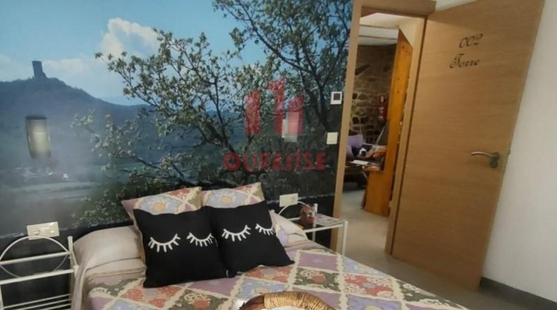 Orense - Ginzo de Limia - 1727m2