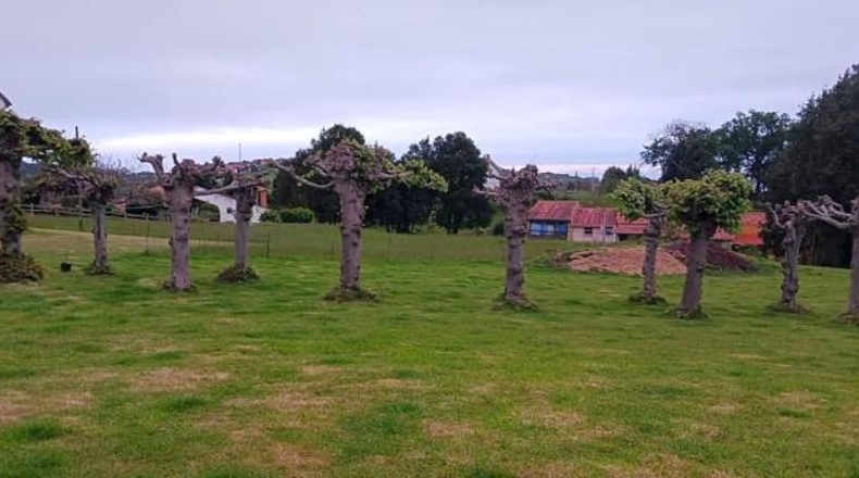 Cantàbria - Cóbreces - 2700m2