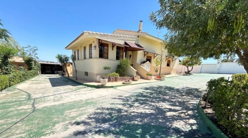 Murcia - Molina de Segura - 2500m2