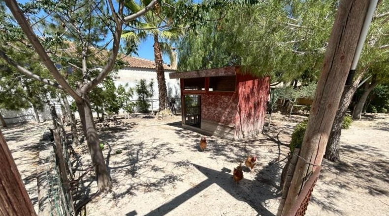 Murcia - Molina de Segura - 2500m2