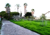 Xalet independent amb terreny en venda a la España, Chiclana de la Frontera, ref.: TR179420 foto