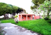 Xalet independent amb terreny en venda a la España, Chiclana de la Frontera, ref.: TR179420 foto