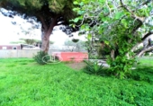 Xalet independent amb terreny en venda a la España, Chiclana de la Frontera, ref.: TR179420 foto