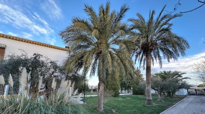 Murcia - Lorca - 5900m2