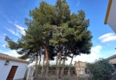 Chalet independiente con terreno en venta en la España, Lorca, ref: TR157590 foto
