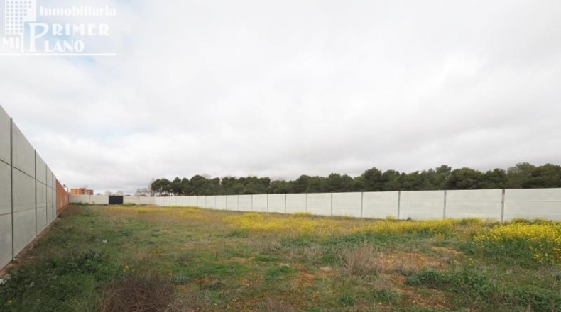 Ciudad Real - Tomelloso - 3250m2
