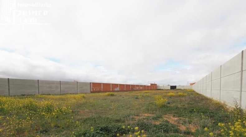 Ciudad Real - Tomelloso - 3250m2