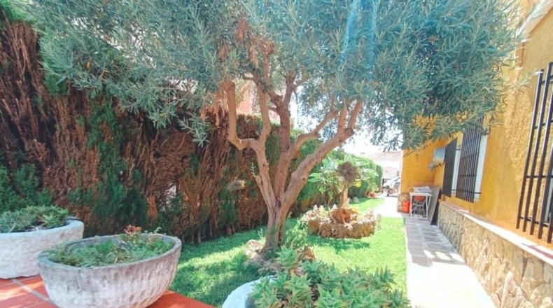 Valencia - Oliva - 521m2