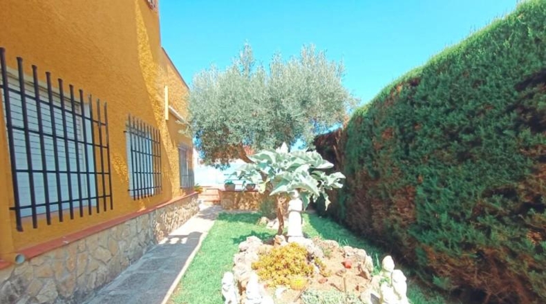 Valencia - Oliva - 521m2
