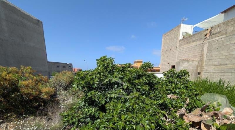 Santa Cruz de Tenerife - Guía de Isora - 845m2