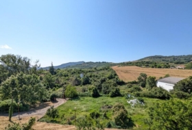 Estella 25000&nbsp;m²