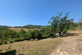 Estella 25000&nbsp;m²