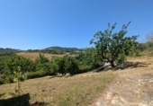 Finca rústica en venta en la España, Estella, ref: TR270644 foto