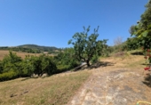 Finca rústica en venta en la España, Estella, ref: TR270644 foto