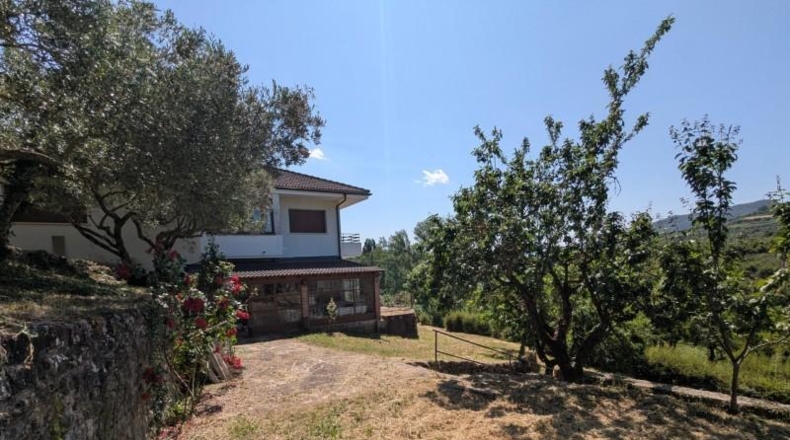 Navarra - Estella - 25000m2